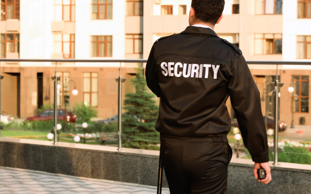 Private Security and Police Collaboration